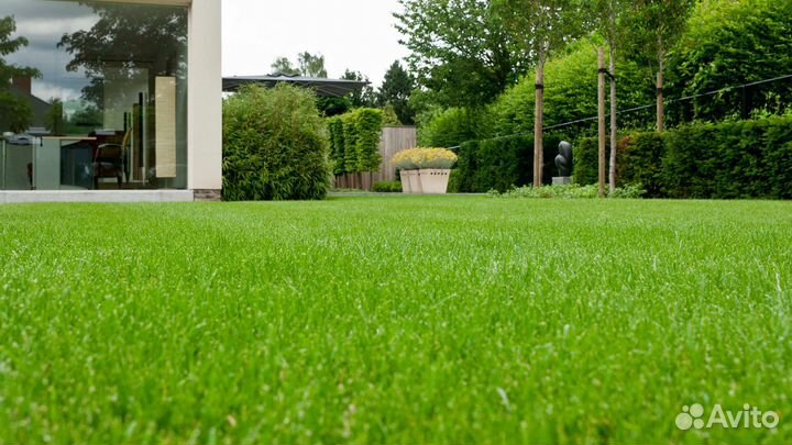 Семена газона восстанавливающего