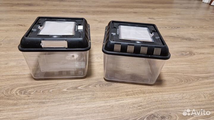 Пластиковый фаунариум simple zoo 260260200