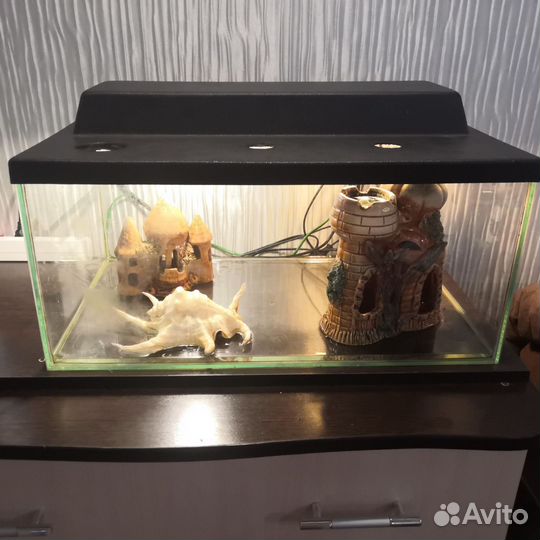 Аквариум