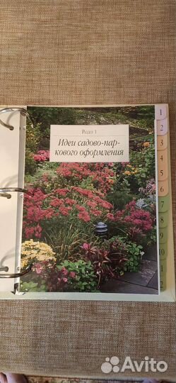 Сад моей мечты