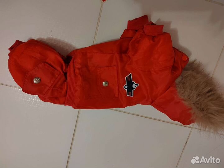 Товары для животных