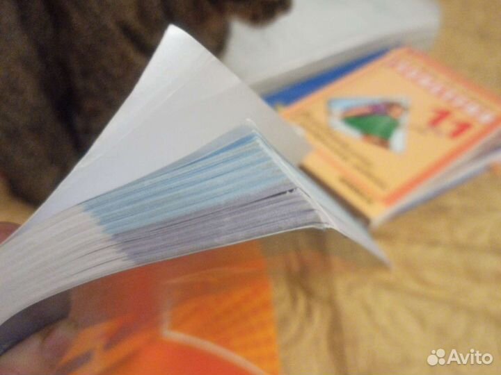 Русский язык 10-11, база, Рыбченкова