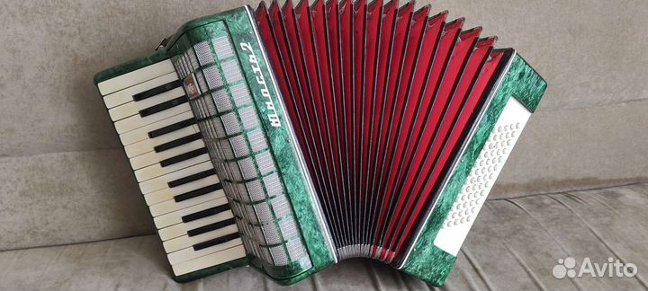 Аккордеоны Юность 1/2