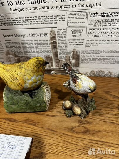 Декоративные птицы