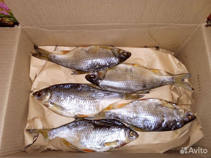 Сушеная рыба(вобла судак чехонь)