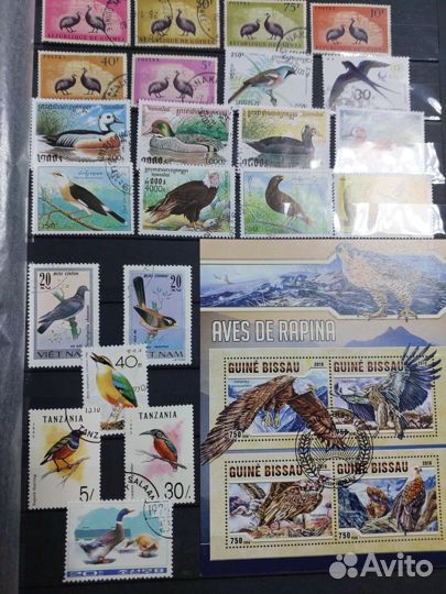 Почтовые марки фауна ком.128