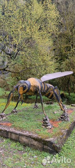 День в Абхазии с комфортом