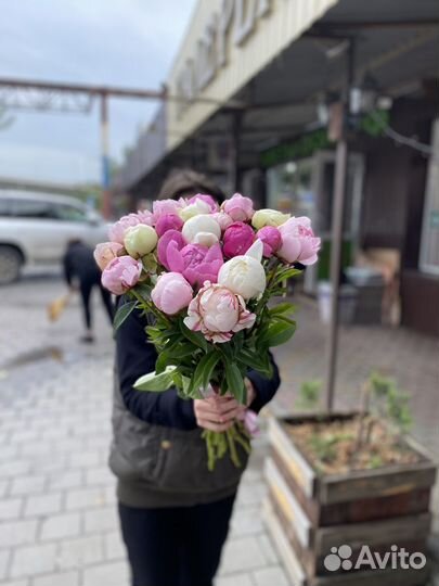 Пионы. Букет пионов, доставка цветов