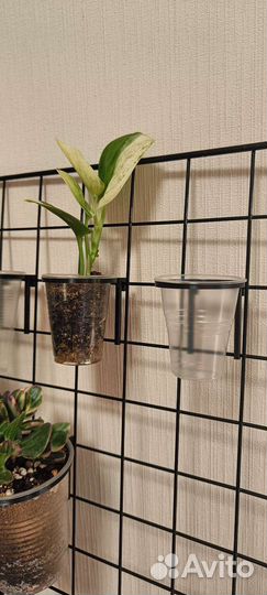 Держатели для стаканчиков, кашпо