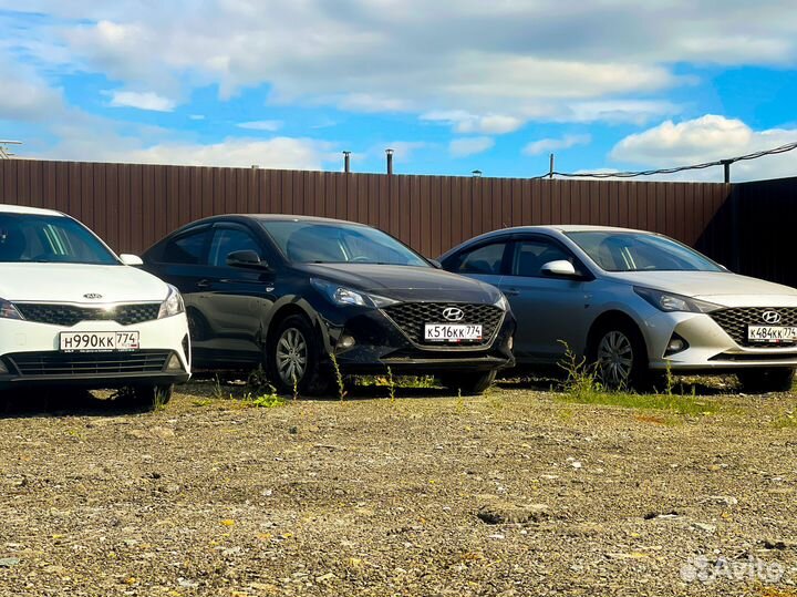 Аренда автомобиля под такси