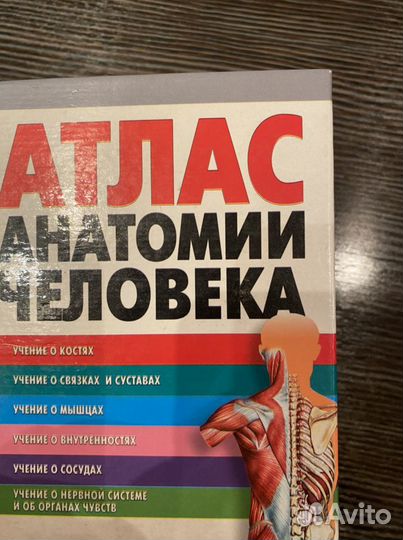 Атлас анатомии человека
