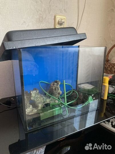 Аквариум