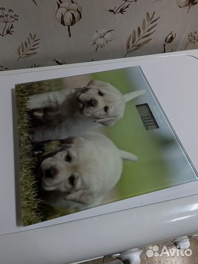 Весы напольные