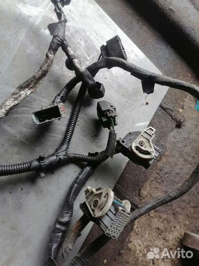 Проводка моторного отсека пежо боксер10г 2.2д 120л