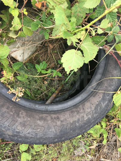 Участок 15 сот. (ИЖС)