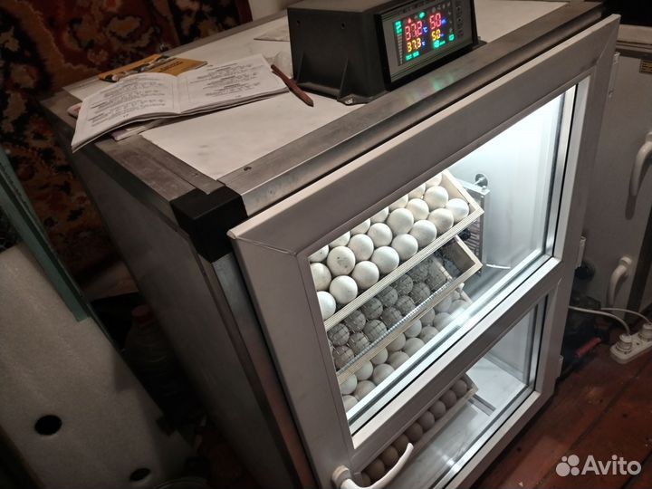 Инкубатор на 500 яиц