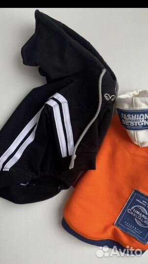 Толстовка Puppy Angel