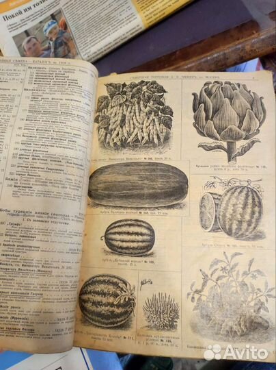 Главный каталог семян и растений на 1908 год