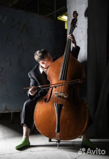 Контрабас (Новое звучание) билеты за 1/2 стоимости