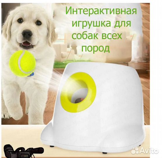 Интерактивная игрушка катапульта для собак