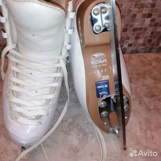 Фигурные коньки edea Motivo