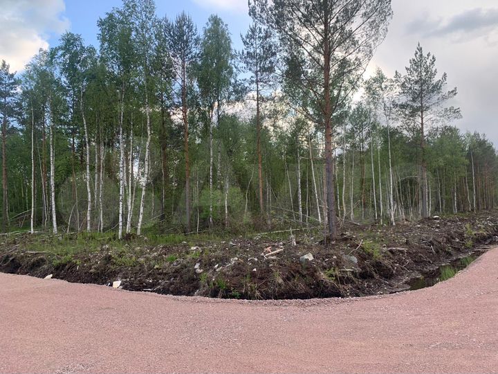Участок 11 сот. (СНТ, ДНП)