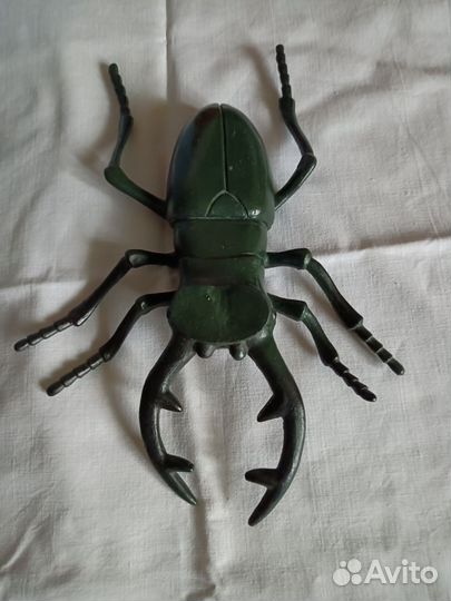 Коллекция насекомых