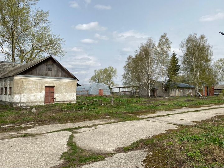 Свободного назначения, 3048 м²