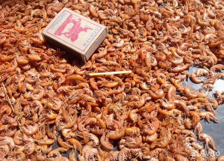 Гаммарус сухой опт и розница