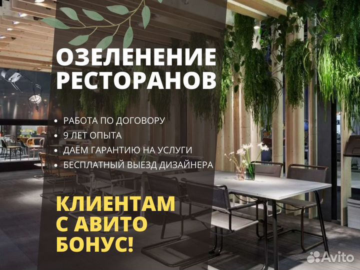 Озеленение ресторана / озеленение потолка