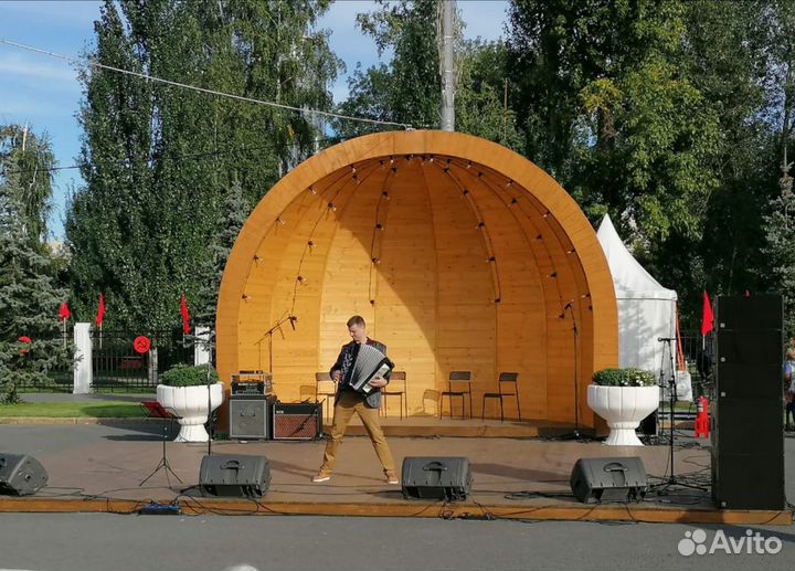 Баянист на праздник