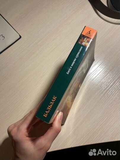 Книга Блеск и нищета куртизанок