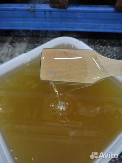 Свежий мед липа оптом