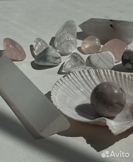 Раковина гребешка