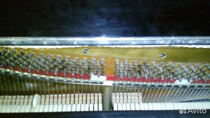 Пианино Кубань Краснодар