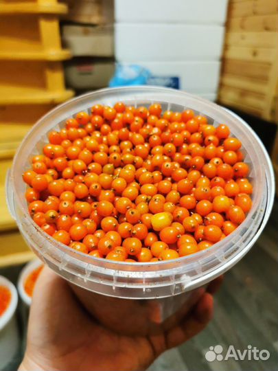 Облепиха ягоды