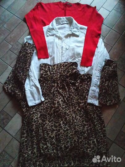 Женская одежда 54 размера - пакетом