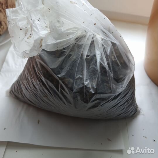 Пчелиный подмор (хитозан)сушеный