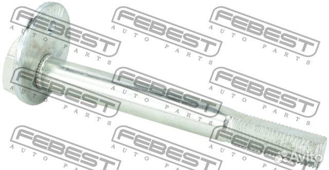 0429007 Болт с эксцентриком регулировочный