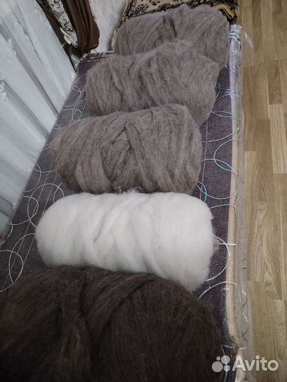 Чистый шерсть