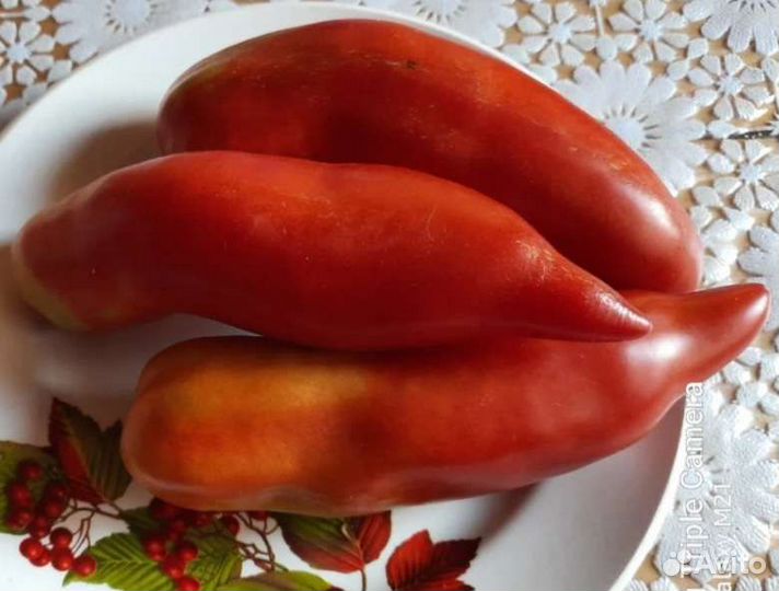 Томат Спагетти семена