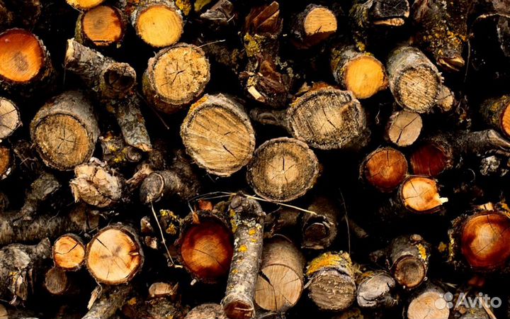 Дрова на выбор