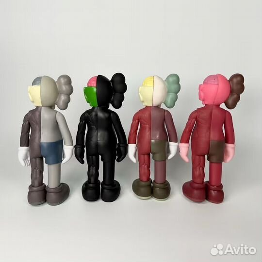 Kaws Anatomy