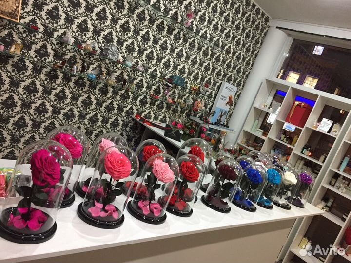 Живая Роза в колбе на 5 лет. Красавица и чудовище