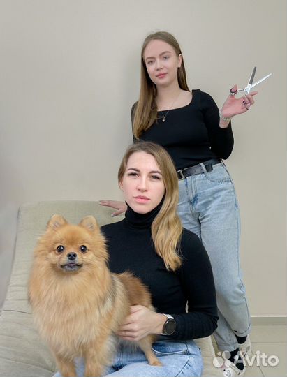 Зоосалон. Груминг. Стрижка собак и кошек