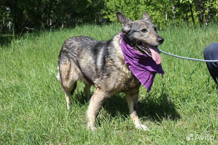 Она видела только равнодушие и боль, спаси ее