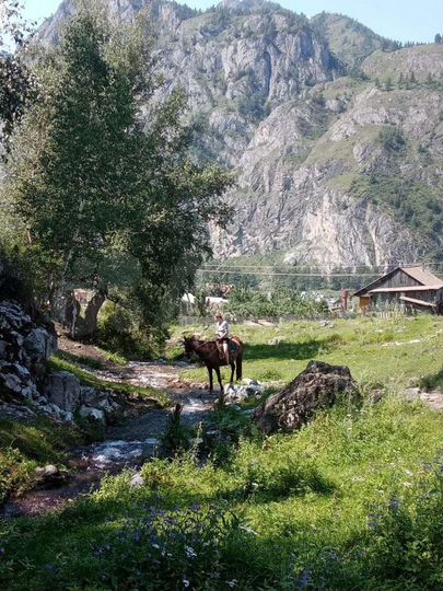 Участок 16 сот. (ИЖС)