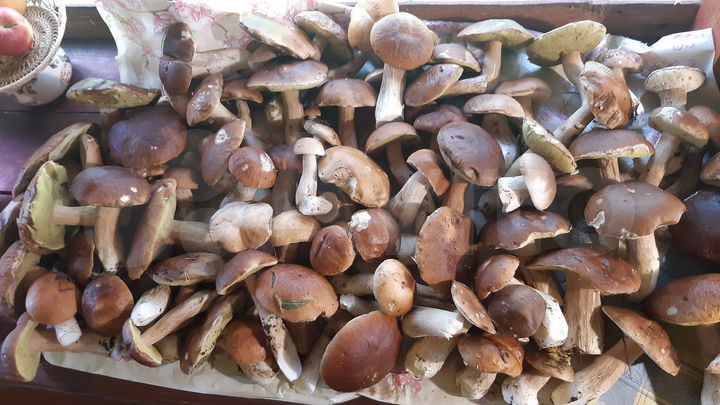 Дом 267 м² на участке 10 га