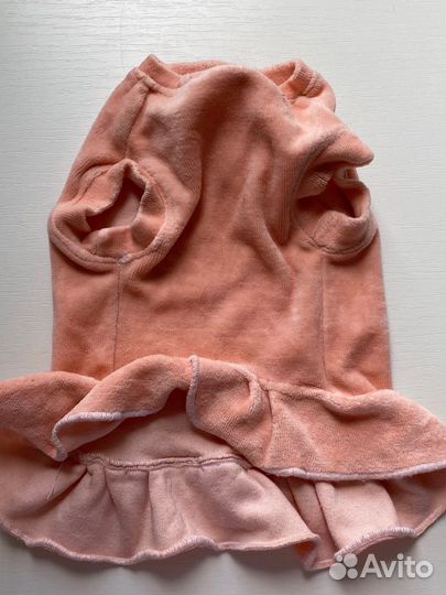 Одежда для животных