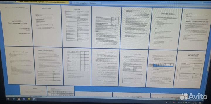 Бизнес план для соцконтракта, социальный контракт